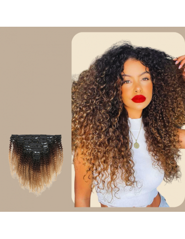 Afro Curly Ombre Brown Chocolate Blonde Clip-In Extensions Kit 120 gr. des créatures d'habitude